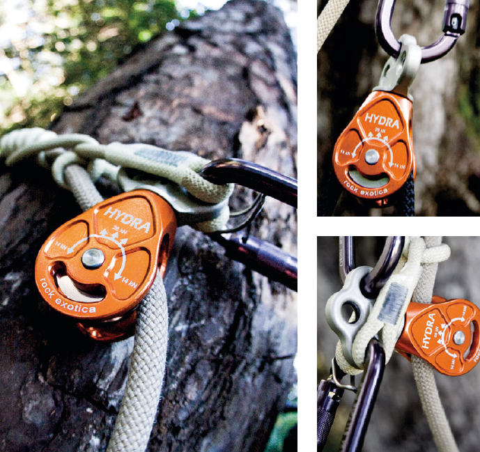 Rock exotica - P4 HYDRA