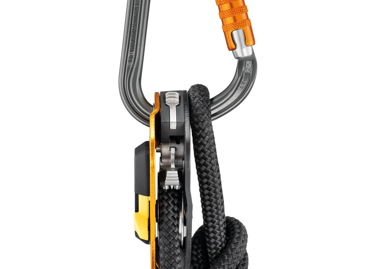 Petzl WILLIAM - Leichtgewichtiger, großer asymmetrischer Karabiner